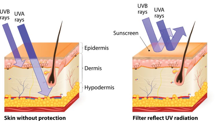 Sunscreen protection from UV